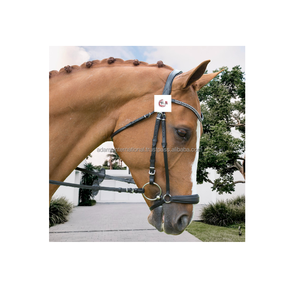 Brida de cuero de alta calidad, hecho de cuero de alta calidad con hebillas - Product Image 1