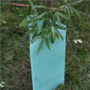 Effective PP Corrugated <b>Plastic</b> Tree Guard Agriculture Product Roll Packing Protector for Plants - Product Image 3