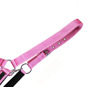 Meilleures ventes : Harnais pour chevaux en corde de PP, emballage transparent, logo personnalisé, haute qualité, confortable, durable, boucle réglable - Product Image 6