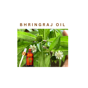 Huile de Bhringraj issue de sources végétales indiennes pour le développement de produits capillaires, la fabrication cosmétique et les formulations de soins personnels - Product Image 3