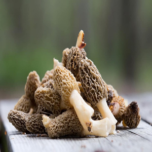 Prix de gros Champignons morilles jaunes sauvages séchés comestibles de qualité supérieure - Product Image 1