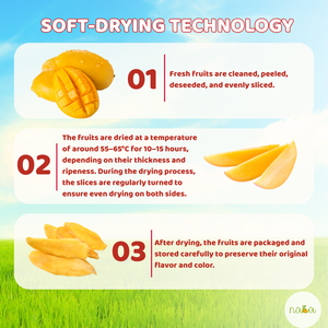 Rebanadas de mango de secado suave de sabor exótico dulce favorito tropical con secado a baja temperatura para chips de fruta deshidratada - Product Image 2