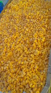 Frozen Fruit Natural Sweet Flavorful IQF Process <b>Bulk</b> <b>Water</b> Preservation Wholesale Export Quality Frozen Mango Whole Vietnam - Product Image 3