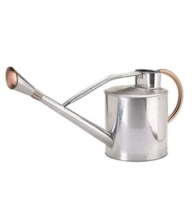 Arrosoir en aluminium avec long bec verseur, finition galvanisée, pour le jardinage, design durable - Product Image 1
