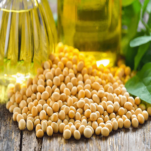 Proveedor Mayorista de Aceite de Soya Refinado de Grado Alimenticio para Restaurantes, Industria Alimentaria y Mercados Minoristas - Product Image 6