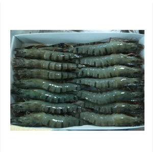 Camarones Tigre Congelados al por Mayor con Textura Carnosa de Calidad Premium, Procesamiento Limpio, Grados Uniformes y Almacenamiento Conveniente - Product Image 6
