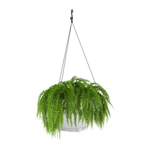 Pot de fleurs suspendu avec plante de fougère verte, matériau PP blanc, style jardin moderne, design circulaire, pour usage intérieur et extérieur - Product Image 1