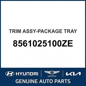 ชุดแต่งขอบตัวถังและคิ้วขอบประตู Accent รุ่น 8561025100ZE - Product Image 1