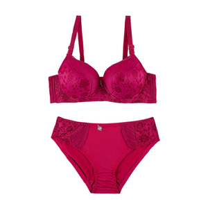 Traje de Baño de Dos Piezas con Estampado de Leopardo para Mujer, Bikini Sexy de Cintura Baja, Ropa de Baño para Aguas Termales, Conjunto de Brasier y Braguita - Product Image 5