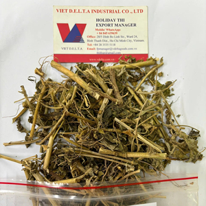 Feuilles de marruechons séchées de qualité export, vente en gros, exportateur de feuilles de marruechons séchées ANGLE - Product Image 5