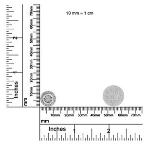 Pendientes de Plata de Ley con Moissanita en Racimo, 1 Cttw, Color I-J, Claridad I2-I3 - Product Image 6