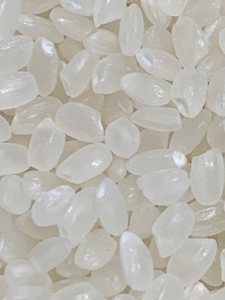 Riz de Konjac Shiratake à Grains Courts Séché, Faible en Calories, Certifié Halal et Casher, Sans Gluten, Zéro Matière Grasse, Vente en Gros - Product Image 1