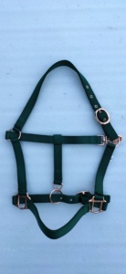 En gros : Collier de tête pour cheval en nylon premium, Produits équestres, Licol, Bridon, Collier de tête - Product Image 5