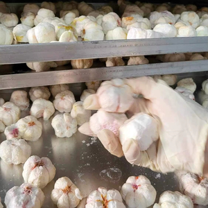 Haute qualité nouvelle agriculture a grandi au Vietnam produit de fermes biologiques 2024 fruits secs tropicaux mangoustan usine prix moins cher - Product Image 5