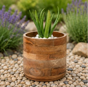 Handmade Mango Wood Succulent Planter <b>Pot</b> Rustic Solid Wood Round Desktop Flower <b>Pot</b> Eco-Friendly Wholesale Wooden Plant <b>Holder</b> - Product Image 2