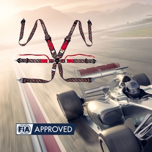 Harnais de course FIA à 6 points TBRACING avec sangle ultra-fine, OEM ODM, logo personnalisé, couleur, marque, vente en gros pour les sports automobiles - Product Image 2