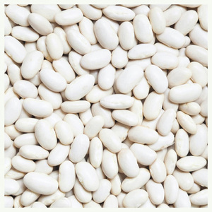 Hot Selling Good Quality Healthy Long White Sugar <b>Bean</b> Dry White Kidney <b>Beans</b> Natural High Quality Healthy White Kidney <b>Beans</b> - Product Image 5