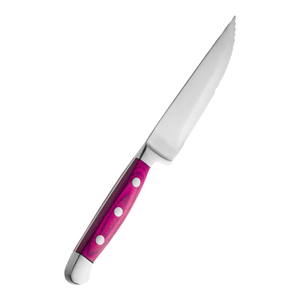 Ensemble de couteaux à steak modernes en acier inoxydable avec manche ergonomique en plastique pour la maison, la cuisine, les restaurants, vente en gros, fabricant - Product Image 3