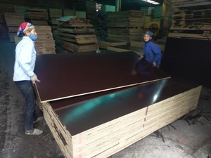 HLC Vietnam Madera Contrachapada de Acacia Negra Personalizable de Primera Calidad con Película Protectora para Uso Exterior, Superficie Bintagor E1 Formaldehído - Product Image 3