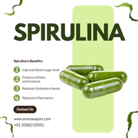Les capsules de spiruline stimulent l'énergie et l'immunité soutient la gestion du poids Fabricant Approvisionnement direct Marque privée disponible