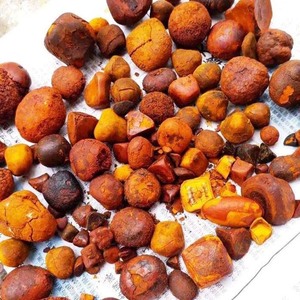 Polvo de cálculos biliares de bovino de alta calidad, cálculos biliares de ganado solubles en agua, 3 años de vida útil, empaque a granel para venta al por mayor - Product Image 2