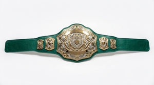 Ceinture de champion personnalisée plaquée or, ceinture de récompense pour la lutte, la boxe et les sports, logo personnalisé, nom gravé - Product Image 4