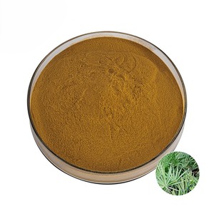 Poudre de Palmier Nain Séchée par Pulvérisation 100% Naturelle, Grade Cosmétique, Fraîchement Sélectionnée, Favorise une Peau d'Apparence Fraîche - Product Image 4