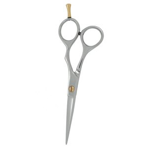 Tijeras de Peluquería Profesionales de Acero Inoxidable, Color Plateado, con Tornillo Dorado, Tijeras de Salón Premium para Cortar el Cabello - Product Image 3