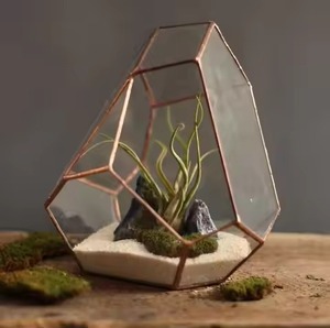 Terrarium décoratif d'intérieur en métal et verre, support de plantes géométrique moderne, accent décoratif pour la maison - Product Image 6