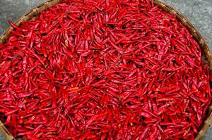 พริกเวียดนามแช่แข็งเก็บเกี่ยวสดใหม่รสชาติเผ็ดแปรรูป iqf ที่เก็บรักษาไว้ในบรรจุภัณฑ์จำนวนมากโดย99ข้อมูลทอง - Product Image 6