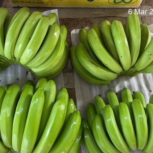 Bananes fraîches de qualité supérieure, fruits tropicaux cultivés au Vietnam, adaptées à la consommation, à la cuisine, aux smoothies, aux desserts et à la vente internationale. - Product Image 1