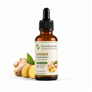 Standardized Ginger Extract Liquid for Bulk Distribution, Ideal for Beverage Industry, Food <b>Applications</b> and Flavor Development - Product Image 1