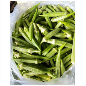 Okra frais biologique, prix d'exportation directe de la ferme pour les acheteurs, distributeurs et fabricants alimentaires industriels étrangers - Product Image 6