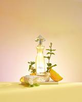 50ml Pemasok Grosir Premium Parfum Wanita Modern Tahan Lama untuk Penggunaan Sehari-hari Miss Saigon Elegance Amber Eau De Parfum