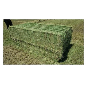 หญ้าอัลฟัลฟ่าแบบมัดใหญ่ / มัดหญ้าแห้งสำหรับส่งออก - Product Image 1