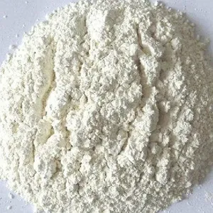 Poudre d'oignon blanc biologique premium, transformée par procédé AD, en vrac et sous vide, assaisonnement naturel de qualité alimentaire pour sauces et soupes - Product Image 1