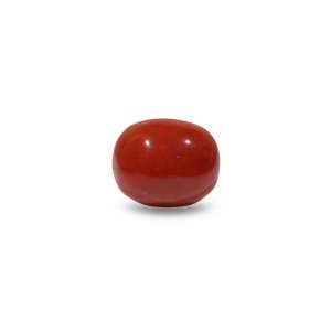 Natural Red Coral Oval Cabochon Loose Gemstone 8.6 Carat Certified Wholesale - Product Image 1