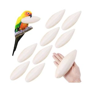 Os de seiche de haute qualité, blancs et propres, idéaux pour l'alimentation en calcium des oiseaux de compagnie et les jouets de mastication pour petits animaux. - Product Image 1