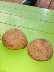 Éclats de coquille de noix de coco séchés bruts pour la fabrication de charbon de bois, artisanat, écologiques, durables, coquille de noix de coco dure, approvisionnement en vrac - Product Image 5