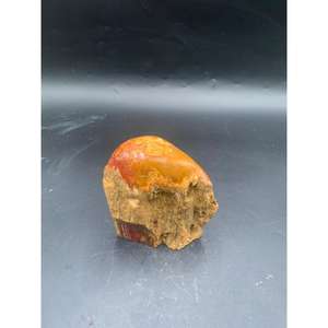 Tronco de Madera Petrificada Natural y Roja para Decoración del Hogar con Parte Superior Pulida y Laterales Naturales - Product Image 4