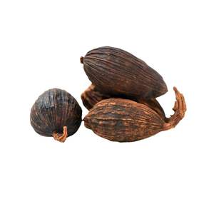 Oferta Especial: Cardamomo Negro Seco de Primera Calidad, Aroma Intenso, Venta al Por Mayor, Directo de Fábrica en Vietnam - Product Image 5