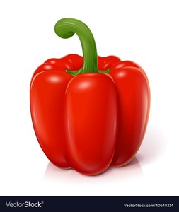 Pimiento Rojo de Alta Calidad Cosechado y Empacado con Cuidado para Importadores y Distribuidores Internacionales de Productos Agrícolas - Product Image 6