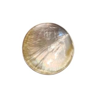 NUEVO MODELO 2026 PLATO DE CONCHA DE NUEBAJA CON BORDE DE PLATA AL POR MAYOR CON DECORACIÓN DE LUJO - Product Image 4