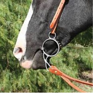 Bocado de acero inoxidable para caballo con doble anillo y junta de barra lisa para uso ecuestre, bocado de equitación western 2026 en venta - Product Image 2