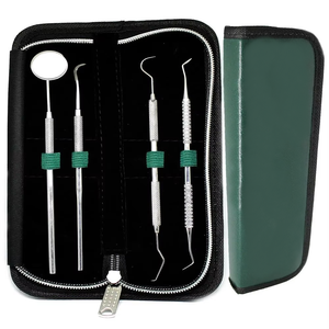 Kit d'implants dentaires, ensemble d'instruments de chirurgie buccale, instruments dentaires certifiés CE, instruments chirurgicaux dentaires en argent, manuel - Product Image 2
