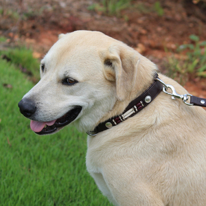 Large Beaded Genuine Leather Dog <b>Collar</b> Handmade Padded, Adjustable & Durable Premium <b>Pet</b> <b>Collar</b> for Dogs OEM Supplier - Product Image 4