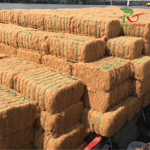 Les grossistes vietnamiens fournissent de la fibre de coco crue naturelle à bas prix pour les meubles et l'artisanat directement de Mr.Huy + 84916930070 - Product Image 4