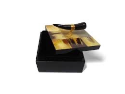 Caja Rectangular Rústica Antigua de Cuerno de Búfalo de ILAHI, Pulida y Ecológica, con Interior Suave para Artículos Delicados, Regalo de Feng Shui, Decoración del Hogar - Product Image 1