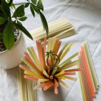 Fabricant de paille de noix de coco vente en gros de paille de riz colorée VIETNAM/paille de riz jetable/pailles à boire écologiques