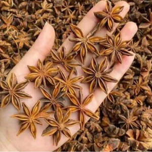 Anís Estrellado Fresco y Seco de Primera Calidad de Vietnam, Oferta Especial 2026, Venta al Por Mayor - Product Image 1